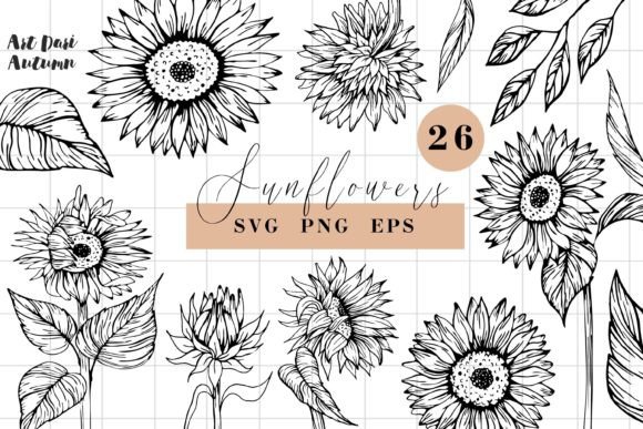 Download Sunflower SVG Line Art Illustrations - Premium Resources