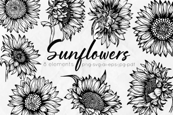 Download Sunflowers Line Art Illustrations - Line art illustrations Collection