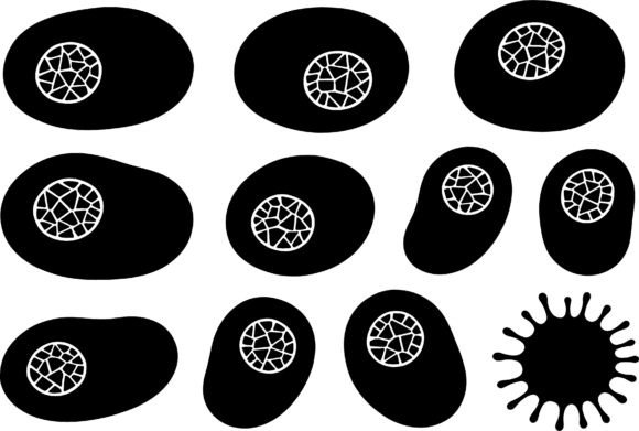 Download Abstract Organic Shapes Black White - White Collection